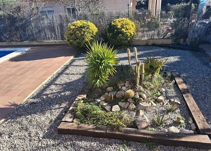 Exclusive Virginia Lloret