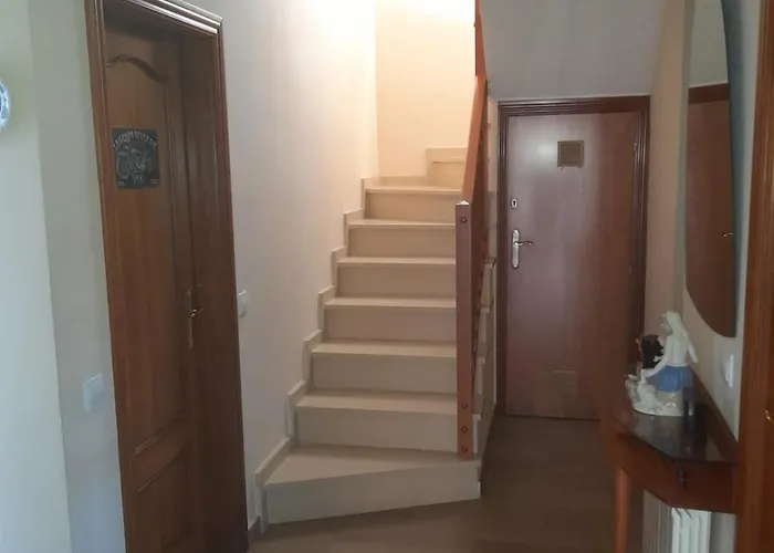 فيلة Exclusive Virginia Lloret يوريت دي مار